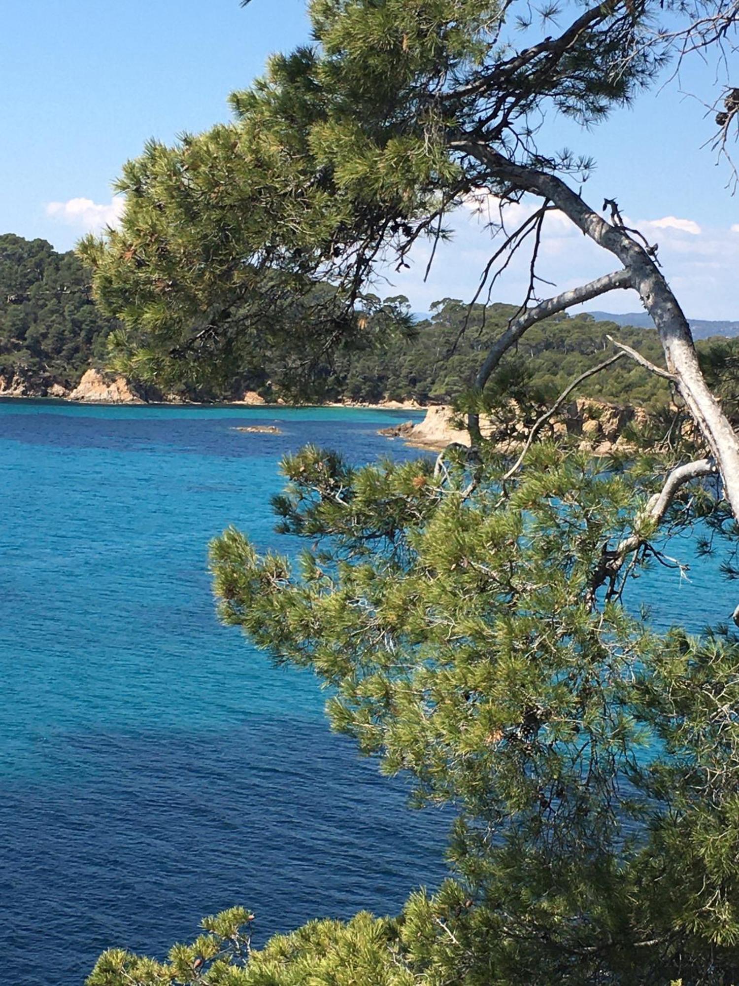Appartement T3 Lumineux Traversant Totalement Neuf En Face De La Plage Front De Mer Vue Sur Les Iles Vue Mer Panoramique Assuree Residence De La Plage Centre Ville Du Lavandou 3Eme Etage Avec Ascenseur Appartement T3 เลอลาวองดูว์ ภายนอก รูปภาพ